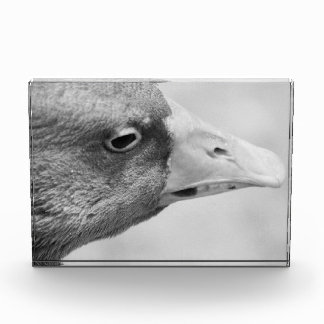BW Goose Photo Block
