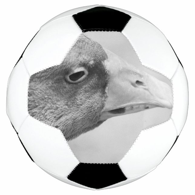 BW Goose Soccer Ball (Front)