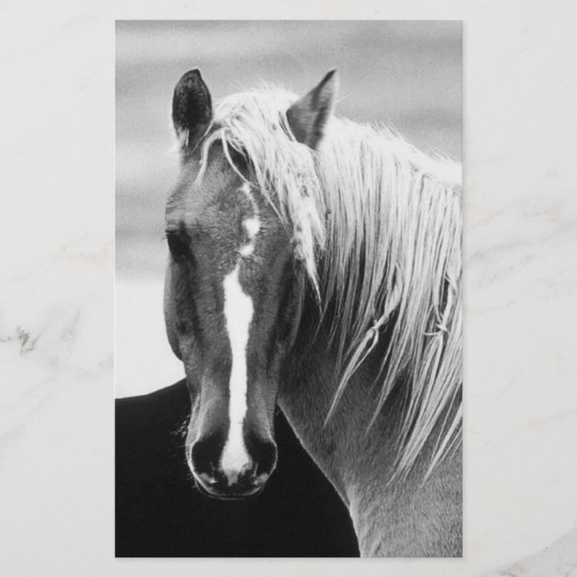 BW Horse Portrait Stationery (Front)