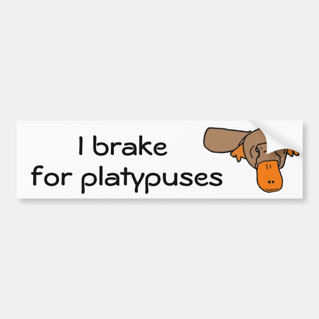 BW- I brake for platypuses Bumper Sticker (Front)