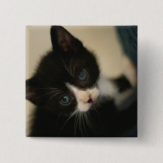 BW Kitten Button