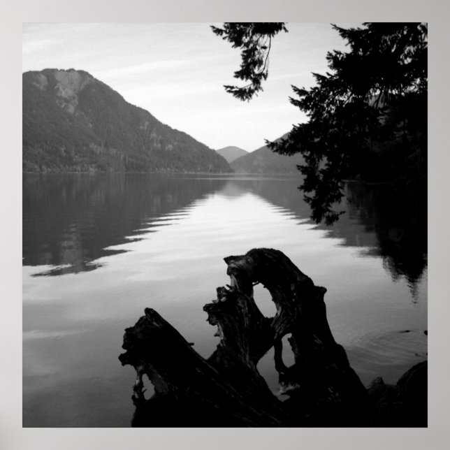 bw lake view 1 poster (Front)