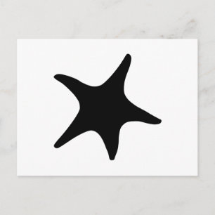 BW Starfish Postcard