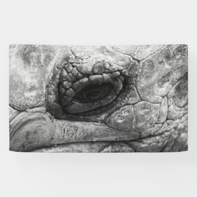 BW Tortoise Banner (Horizontal)