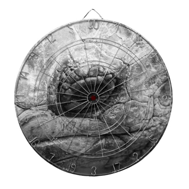 BW Tortoise Dartboard (Front)