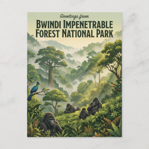 Bwindi Impenetrable Forest National Park Uganda Postcard