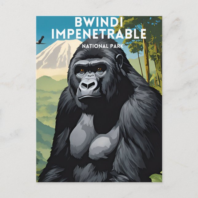 Bwindi Impenetrable National Park Travel Postcard (Front)