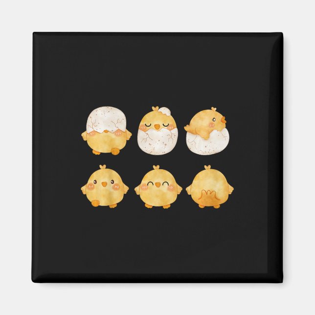 By Chicks Hatching From Eggs Cute Little Chickens  Magnet (Front)