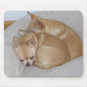 BY-  Cute Chihuahua Puppy Dogs  Mousepad