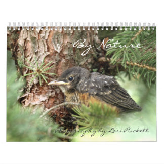 By Nature Photography Calendar 2013