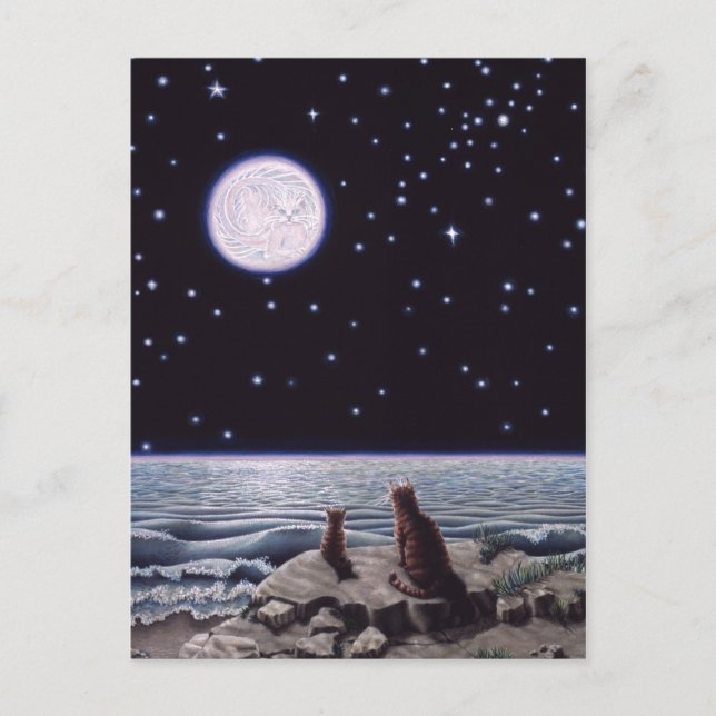 By the Light of the Cat Fish Moon Postcard (Front)