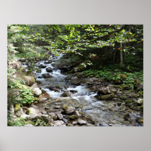 By The River Photography Poster