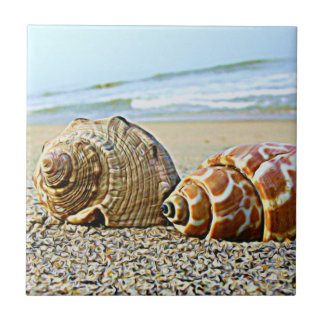By the Sea...tile Tile