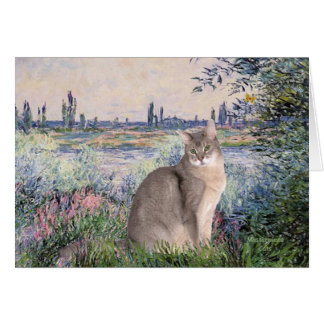 By the Seine - Abyssinian (blue 21)