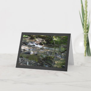 By the Stream-Blank Greeting Card