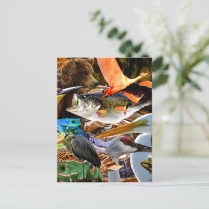 BY THE WATER   POSTCARD