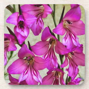 Byzantine Gladiolus Coaster