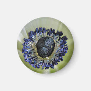 Byzantine Gladiolus Magnet