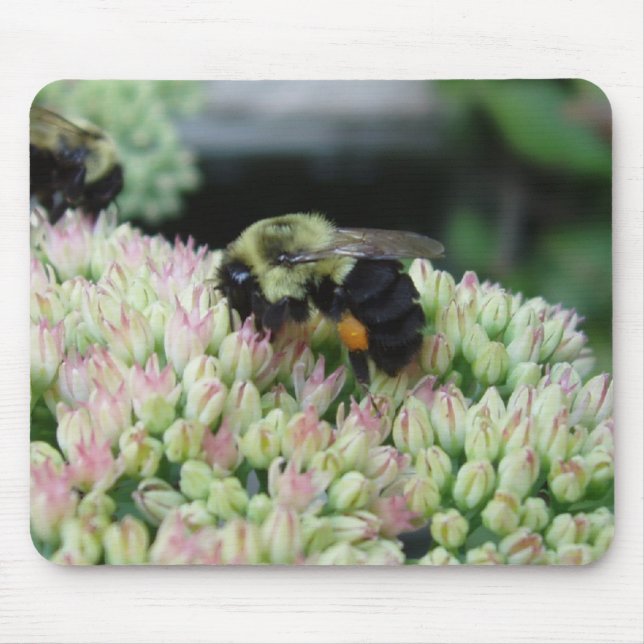 Bzzzzzz Mouse Pad (Front)