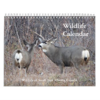 C13 Wildlife Calendar