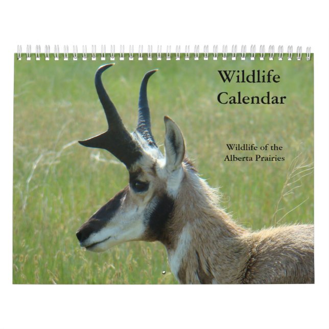 C14 Wildlife Calendar (Cover)