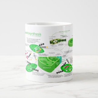 C4 Photosynthesis Diagram Large Coffee Mug