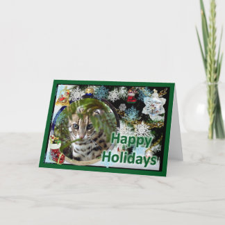 c-bengal-cat-107-f holiday card