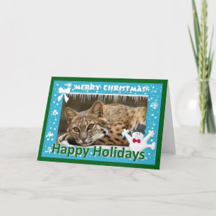 c-bobcat-259-f holiday card