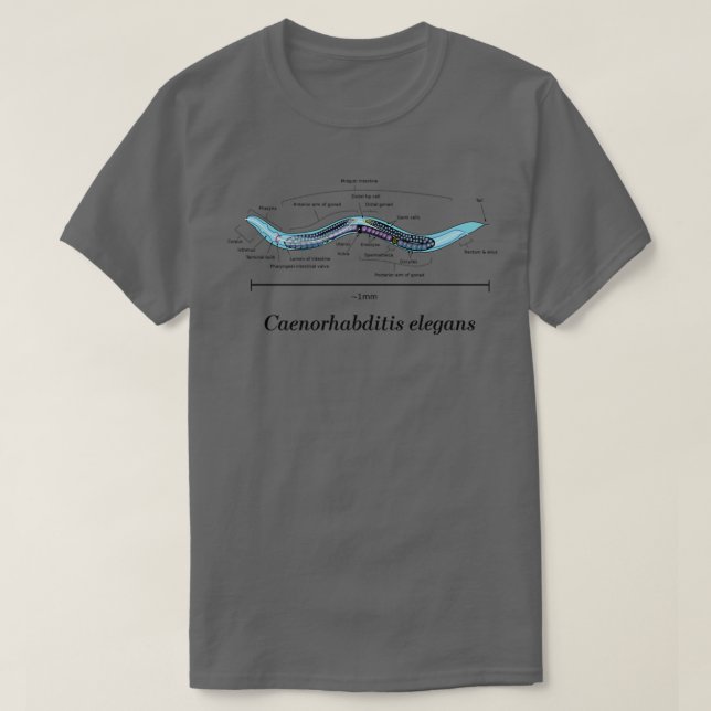 C Elegans Anatomical Diagram  T-Shirt (Design Front)