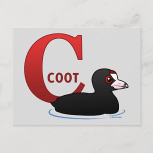 C is for Coot Postcard