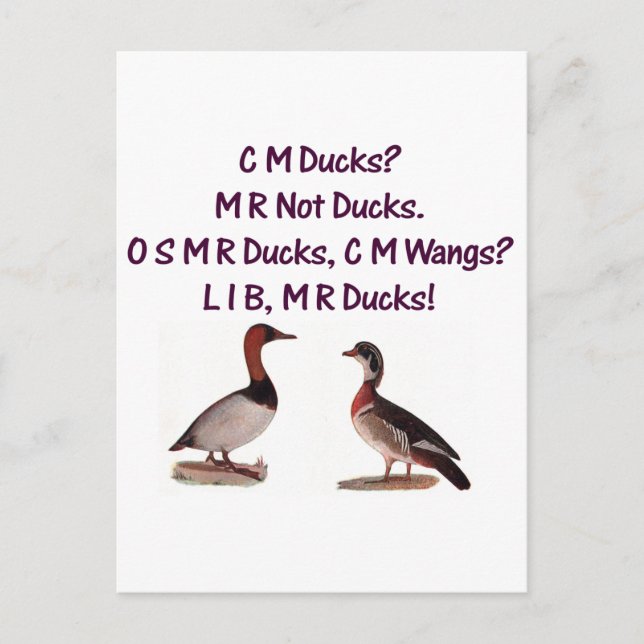 C M Ducks? Funny Southern Accent Postcard (Front)