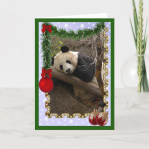 c-panda-21-c holiday card