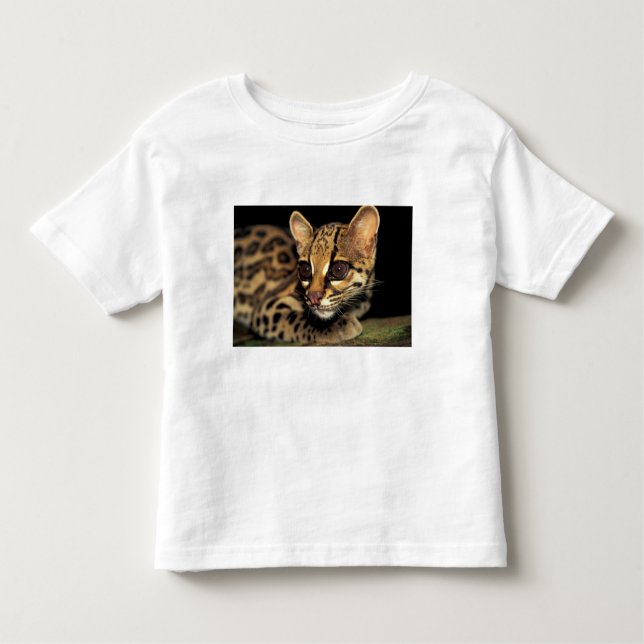 CA, Central Panama, Soberania NP, Margay 2 Toddler T-Shirt (Front)