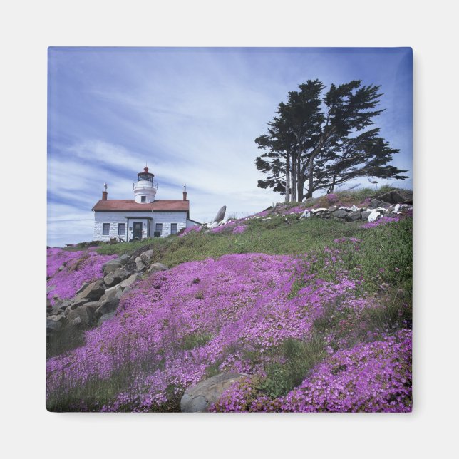 CA, Crescent City, Battery Point lighthouse with Magnet (Front)