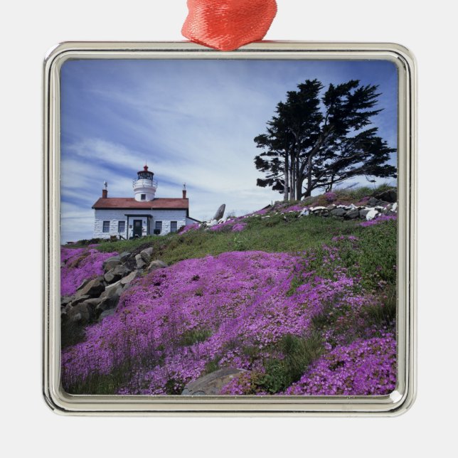 CA, Crescent City, Battery Point lighthouse with Metal Tree Decoration (Front)