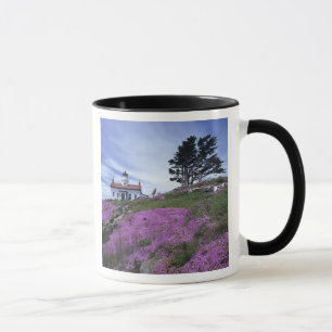 CA, Crescent City, Battery Point lighthouse with Mug