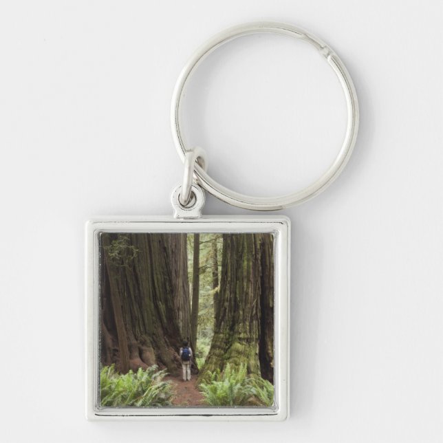 CA, Jedediah Smith Redwoods State Park, Key Ring (Front)