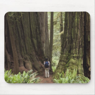 CA, Jedediah Smith Redwoods State Park, Mouse Pad