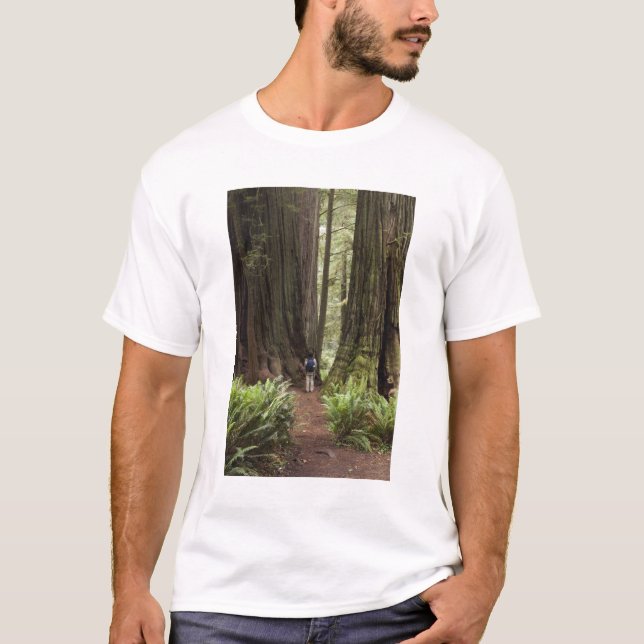CA, Jedediah Smith Redwoods State Park, T-Shirt (Front)