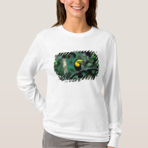 CA, Panama, Soberania NP, Keel-billed Tuccan T-Shirt