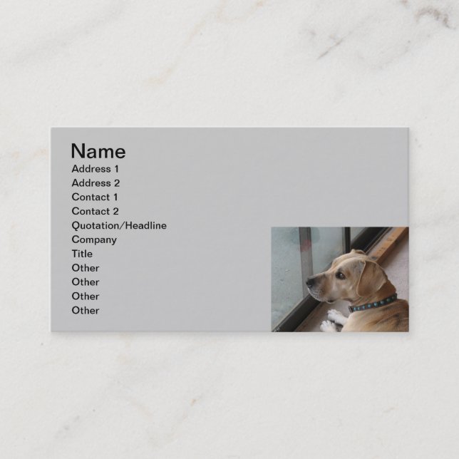 CA- Pet Sitting Business Cards (Front)