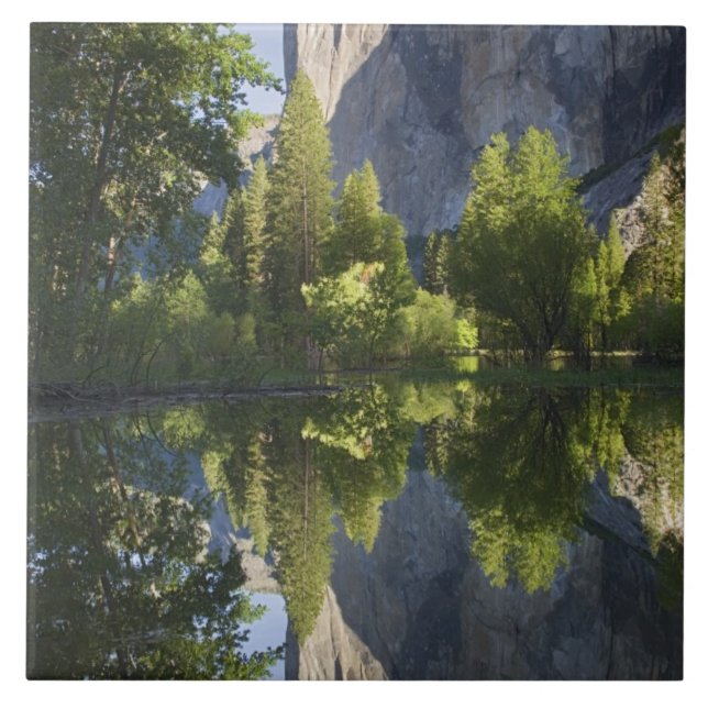 CA, Yosemite NP, El Capitan reflected in Merced Tile (Front)