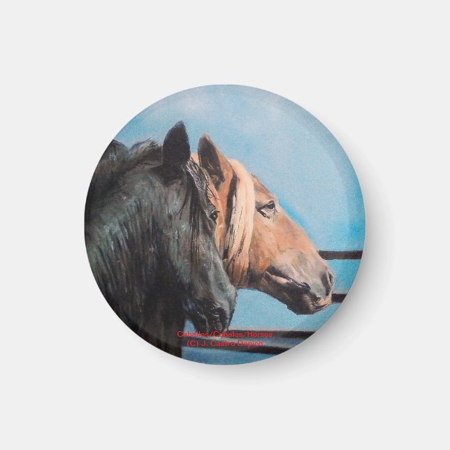 Caballos/Cabalos/Horses Magnet (Front)