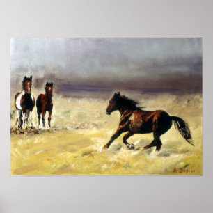 Caballos Salvajes/Cabalos salvaxes/Wild horses Poster