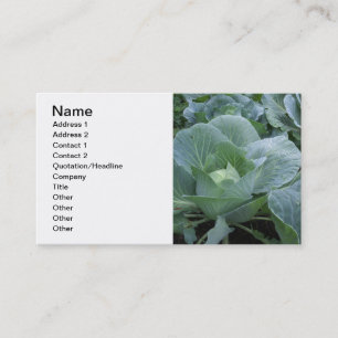 Cabbage Business Card