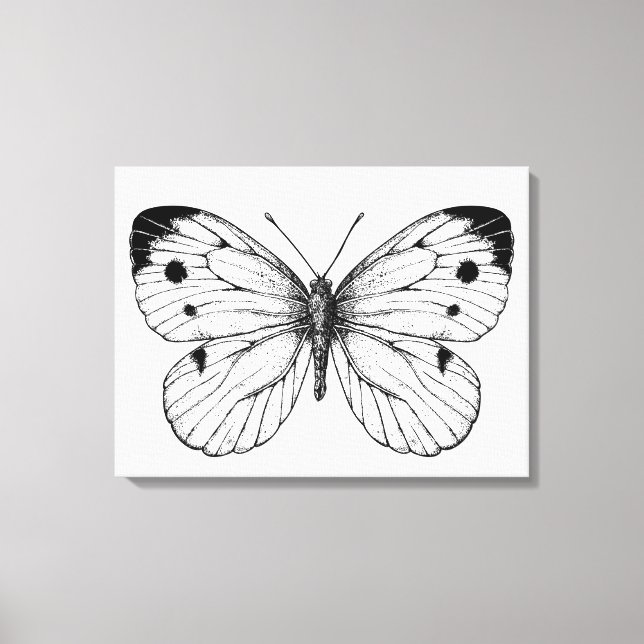 Cabbage butterfly canvas print (Front)