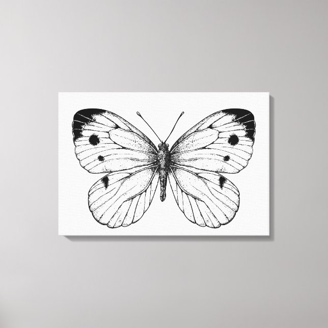 Cabbage butterfly canvas print (Front)