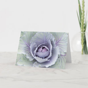 Cabbage Card