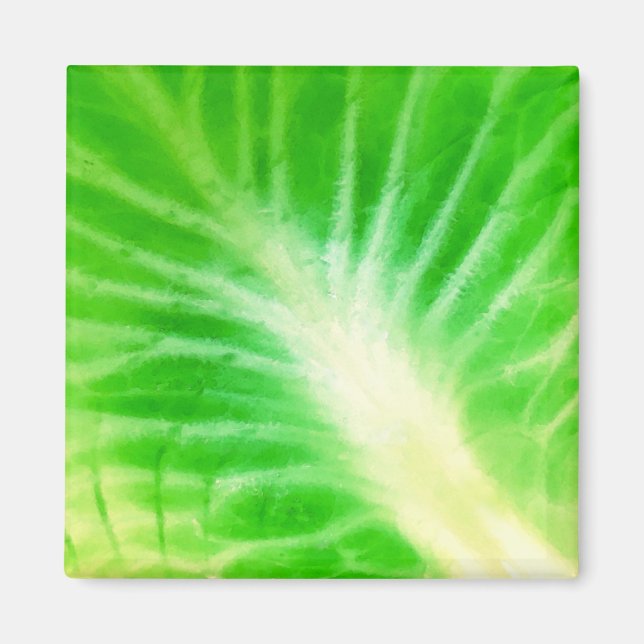 Cabbage Leaf Magnet (Front)