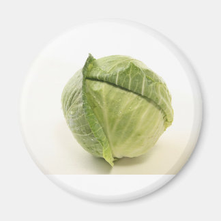 cabbage magnet